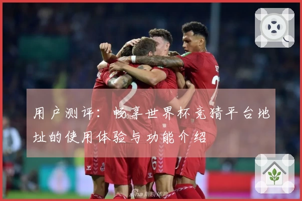 用户测评：畅享世界杯竞猜平台地址的使用体验与功能介绍