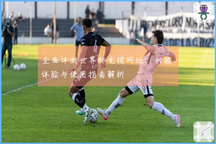 全面评测世界杯竞猜网址：功能、体验与使用指南解析