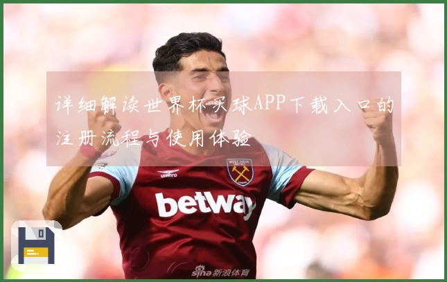 详细解读世界杯买球APP下载入口的注册流程与使用体验
