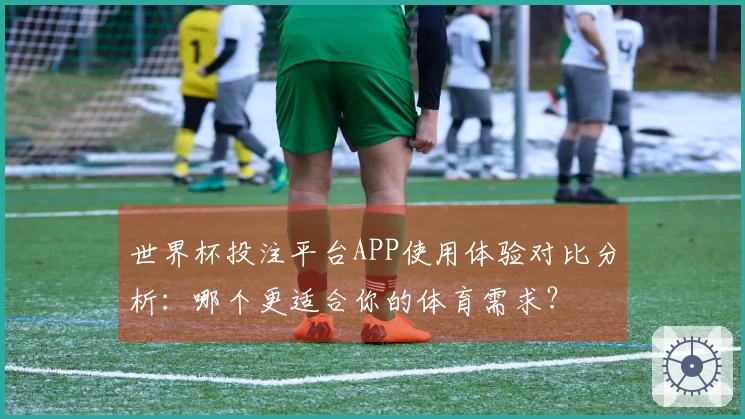 世界杯投注平台APP使用体验对比分析：哪个更适合你的体育需求？